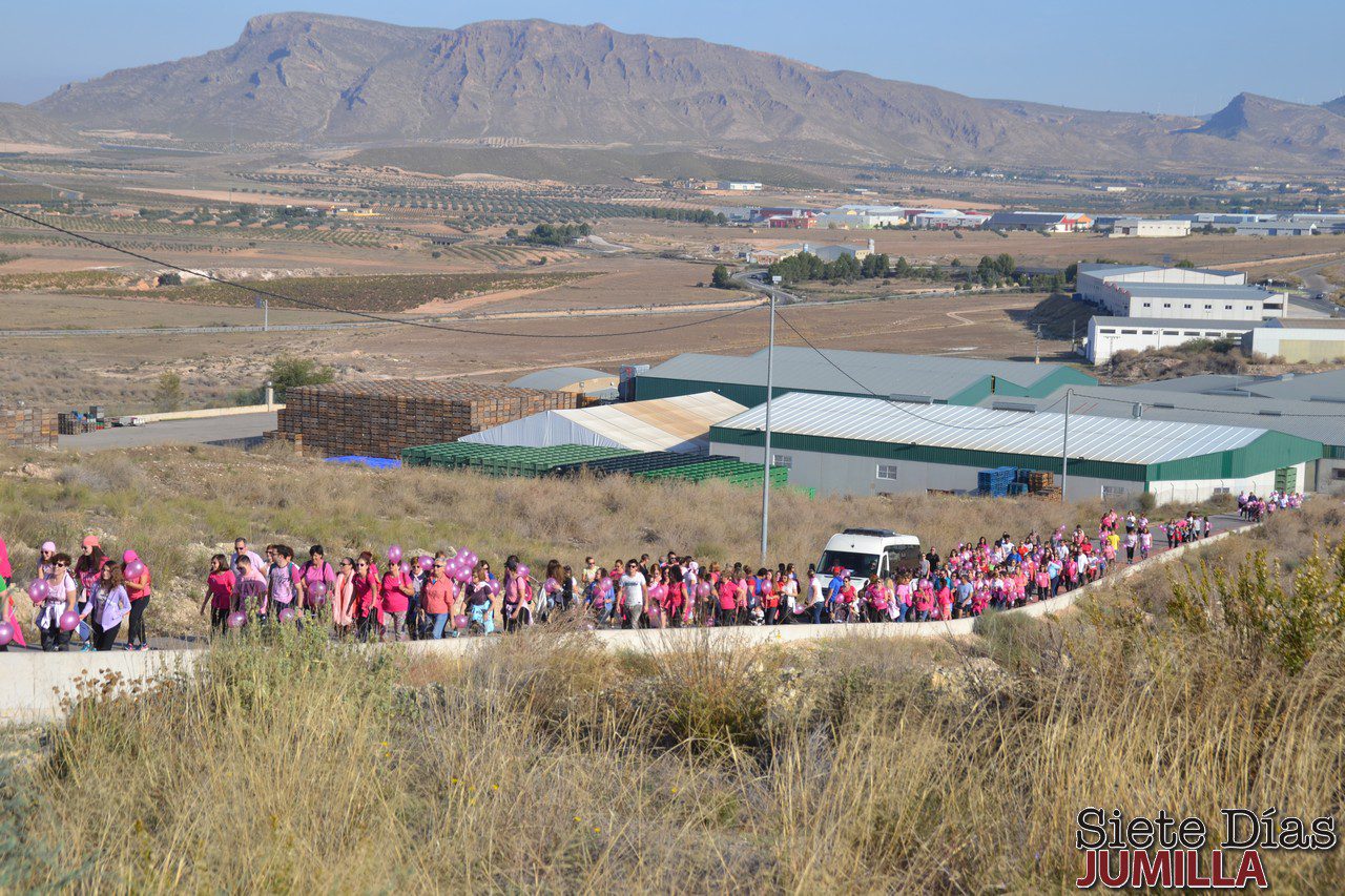 Más de 300 personas, en la Marcha contra el Cáncer