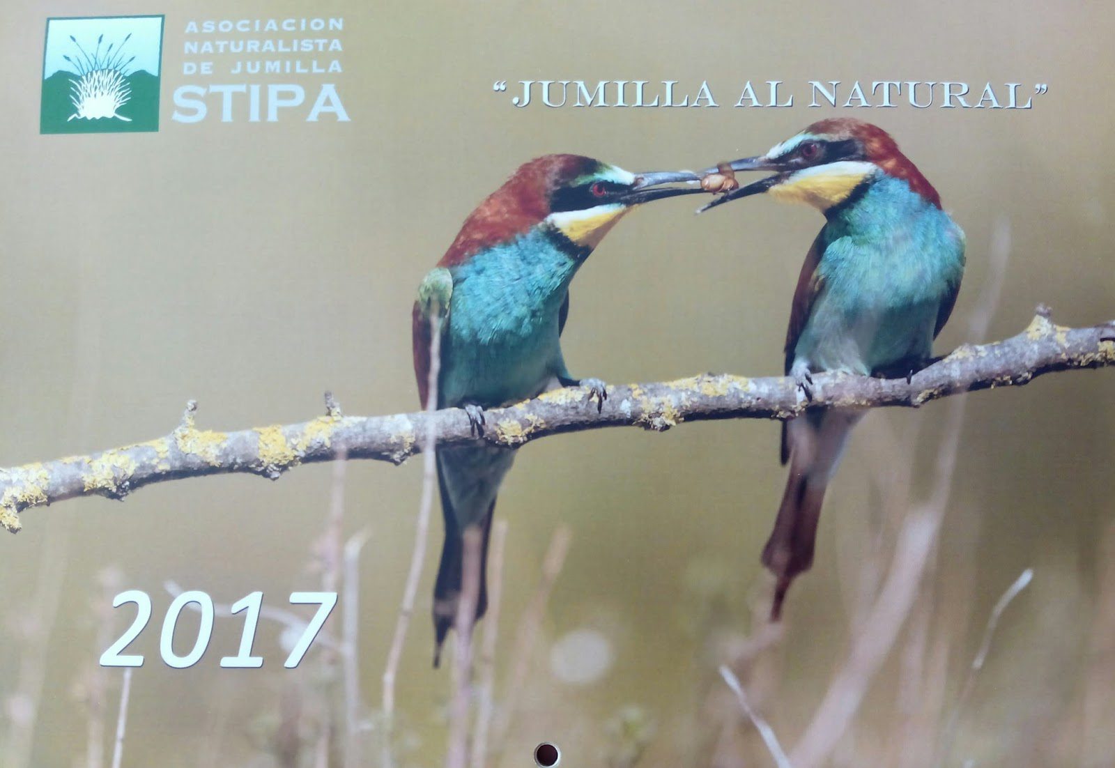 Stipa busca las fotografías de paisajes naturales, flora o fauna que ilustren su calendario para 2018