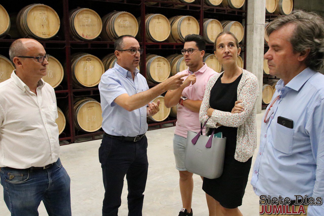 Juan Gil lanza su Etiqueta Amarilla, un vino ecológico y en botella sostenible