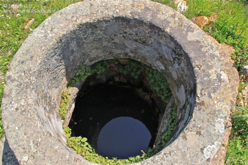 La Asociación de Vecinos de La Alquería organiza este sábado una jornada de convivencia con visita a los pozos de agua