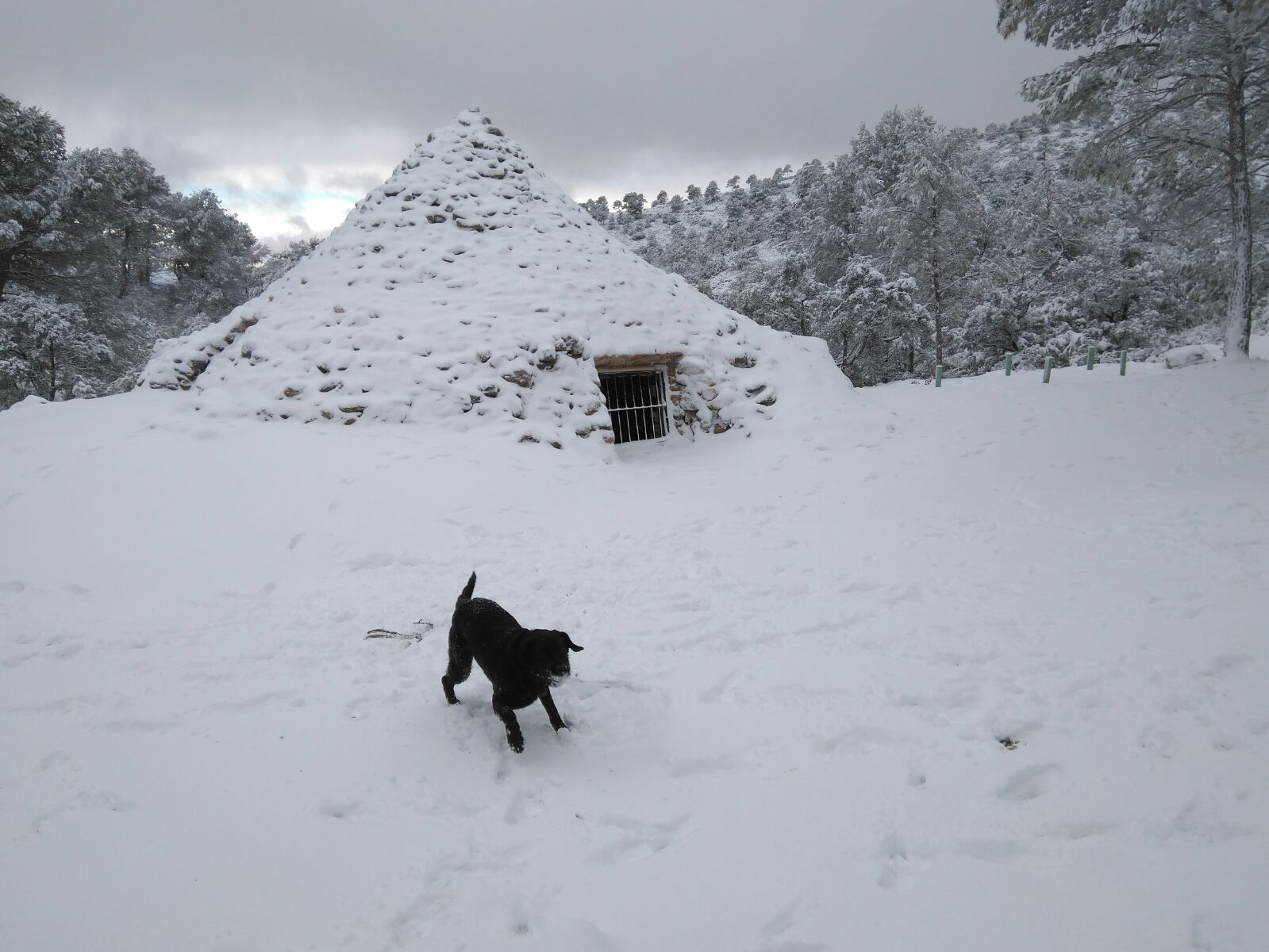 La nieve en Jumilla vendrá bien para los cultivos y forma parte del ciclo natural del invierno