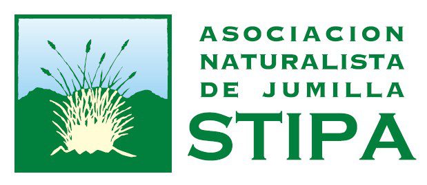 La Asociación de Naturalistas STIPA alerta sobre la destrucción de nidos de golondrinas