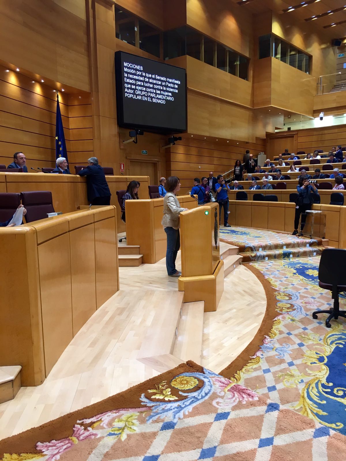 El Senado aprobó la moción del PP contra la violencia de Género