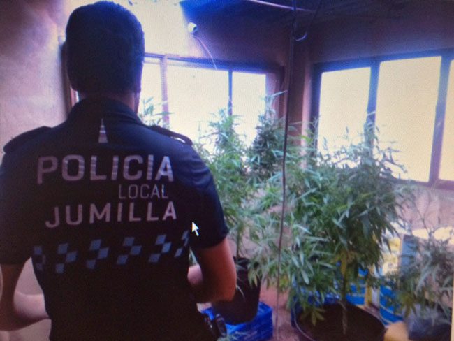 La policía interviene tres kilos de marihuana de una plantación en un domicilio particular