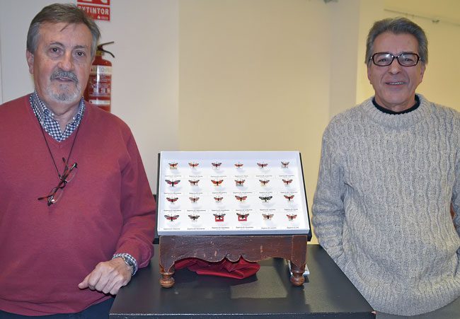Francisco Lencina y Fernando Albert presentan la mariposa ‘zygaena lavandulce jumillensis’